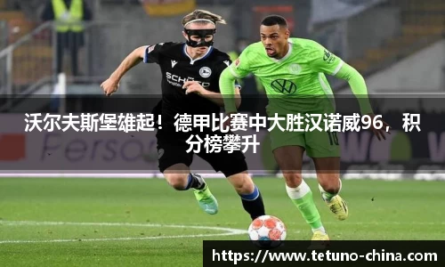 bb贝博bellbet官方网站