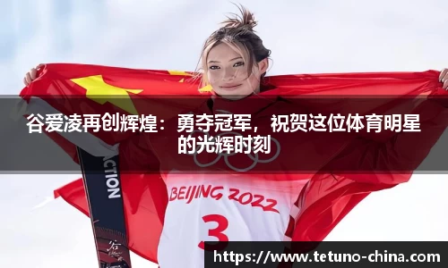 bb贝博bellbet官方网站
