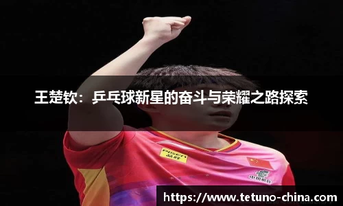 bb贝博bellbet官方网站