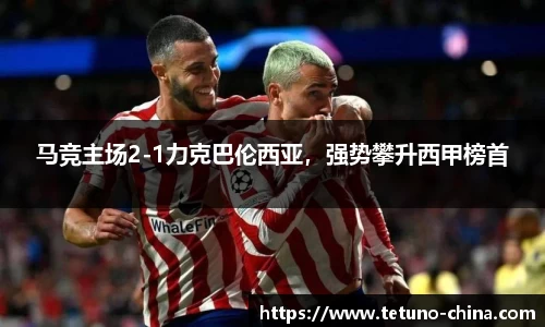 bb贝博bellbet官方网站