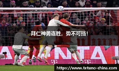 bb贝博bellbet官方网站