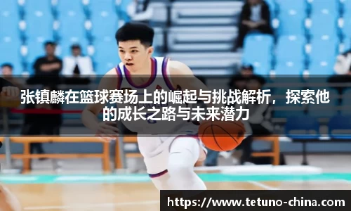 张镇麟在篮球赛场上的崛起与挑战解析，探索他的成长之路与未来潜力