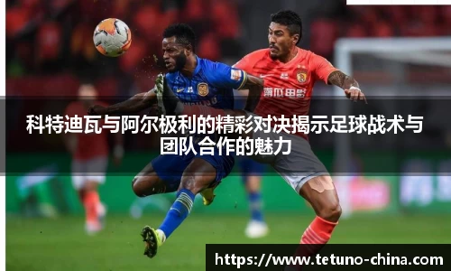 bb贝博bellbet官方网站
