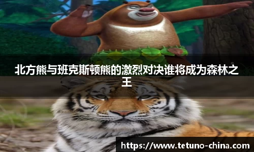 ballbet贝博BB艾弗森